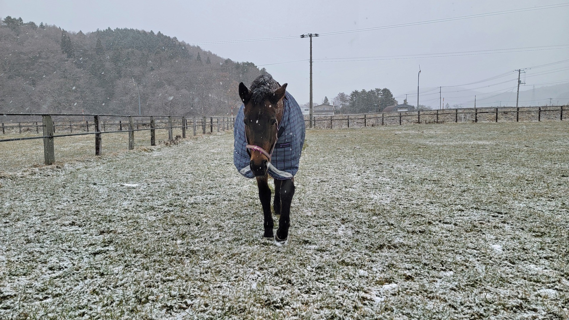 ed2e1a7c911f13de56c33507add32b27-1760934997.jpg ed2e1a7c911f13de56c33507add32b27-1760934997.jpg